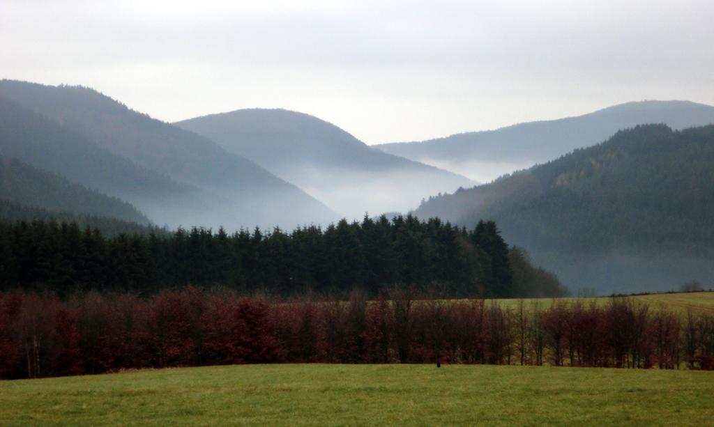 Apartamento Landhaus Zur Linde Winterberg Habitación foto